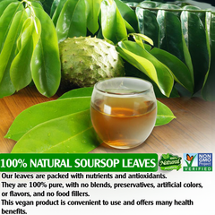 Soursop Graviola Dried Leaves Organic , 235-250 Whole Soursop Leaves, Wildcrafted, Graviola Tea, Guanabana Tea, Hoja Guanabana, Soursop Loose Leaf Herbal Tea, Hojas de Guanabana, te de graviola ,No Gluten, Vegan